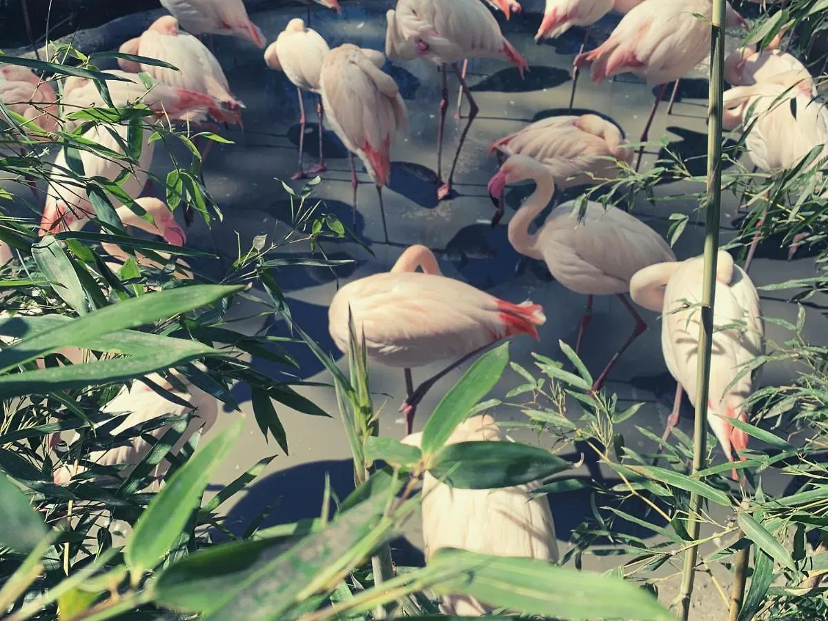 홀리데이 인 잘츠부르크 시티 4*,  오스트리아